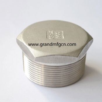 CNC precision turned parts NPT thread SS316 stainless steel plug